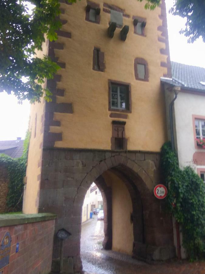 Living-In-History: Heidi Braun Cottage Dudeldorf Dış mekan fotoğraf